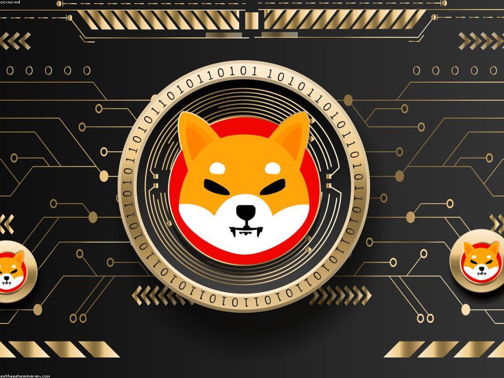 វិធីរកលុយ៖ ការពិចារណាអំពីវិធីអាជីវកម្មថ្មីៗ