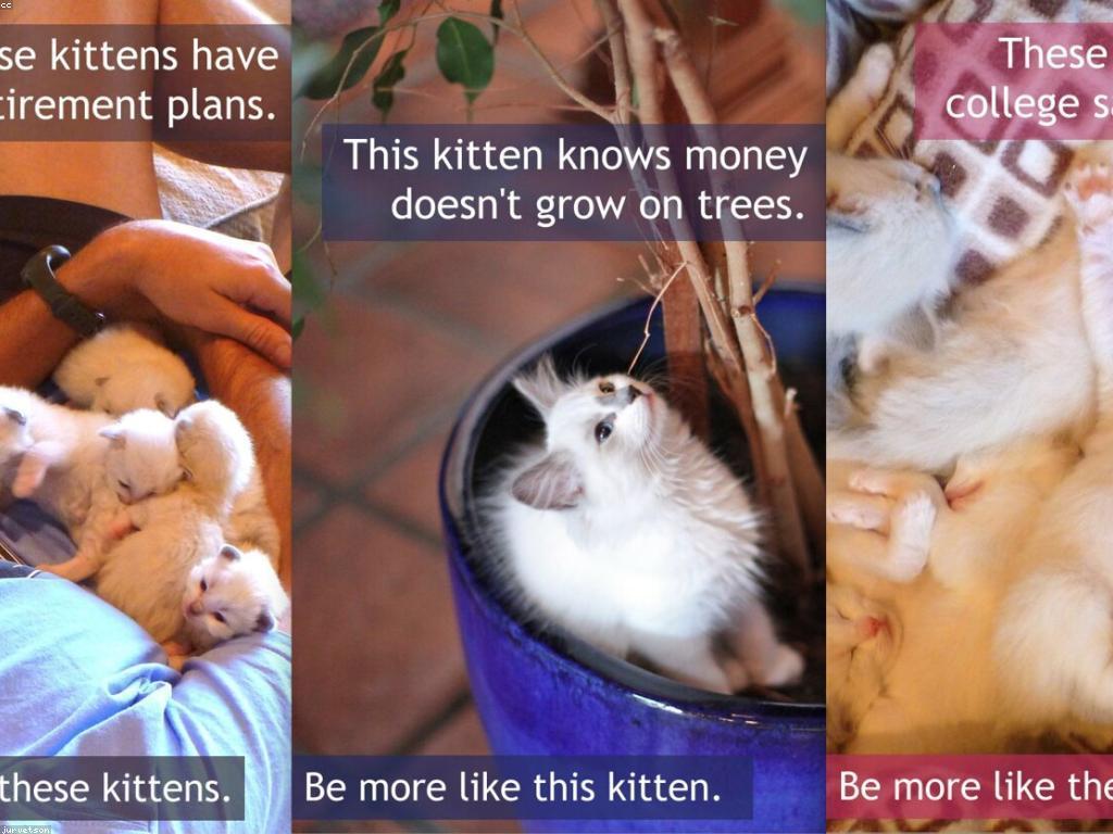 យុទ្ធសាស្ត្រការវិនិយោគសម្រាប់ការលូតលាស់ដែលអាចទ្រទ្រង់បាន